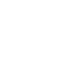 spring-logo-white